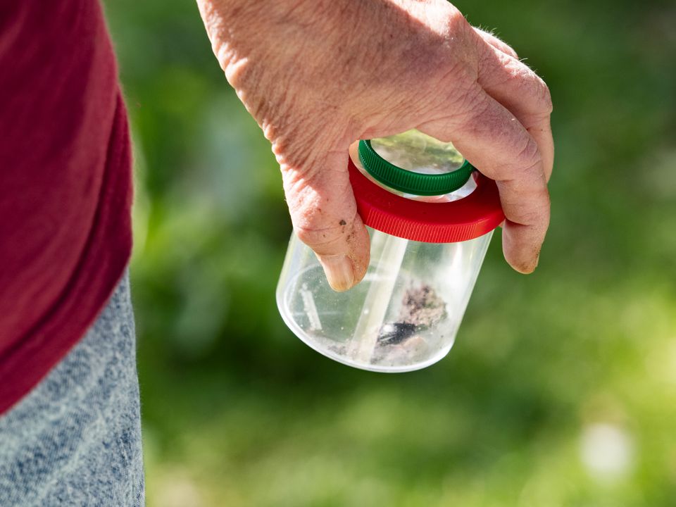 Persoon die een potje vasthoud om natuur te onderzoeken
