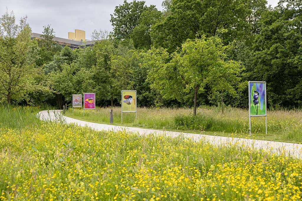 Buitenexpositie: Fascination of Plants