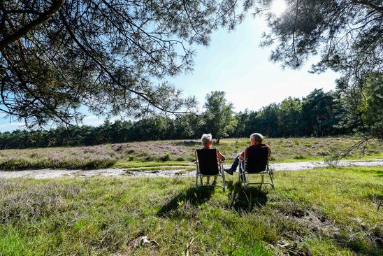 Campsite Het Leersumse Veld