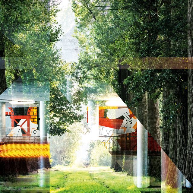 Van Gogh Nationaal Park in Noord-Brabant, een uniek landschap geïnspireerd door de werken en wandelingen van Vincent van Gogh, met aandacht voor natuurbehoud, duurzaamheid en cultuurhistorie