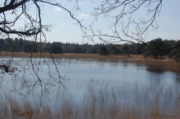 Natuurgebied het Panneven