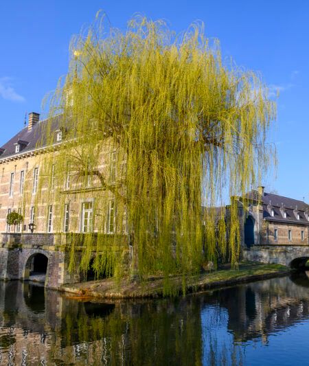 Buitenplaats Kasteel wijlre