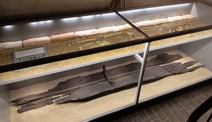 De geconserveerde boomstamboot is uiteindelijk in het museum beland, min of meer opengevouwen.