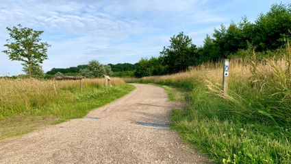 Foto van recreatiegebied Bentwoud aan de rand van Zoetermeer. Ontspannen in de natuur? Zoetermeer is de plek.
