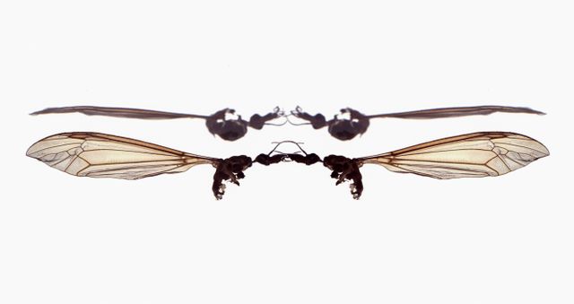 Reeks 'Tuin' genaamd vliegtuig