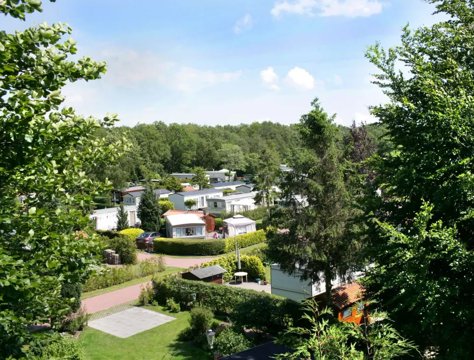 Verschillende chalets en stacaravans op Recreatiepark De Wite Burch met bomen op de voorgrond.