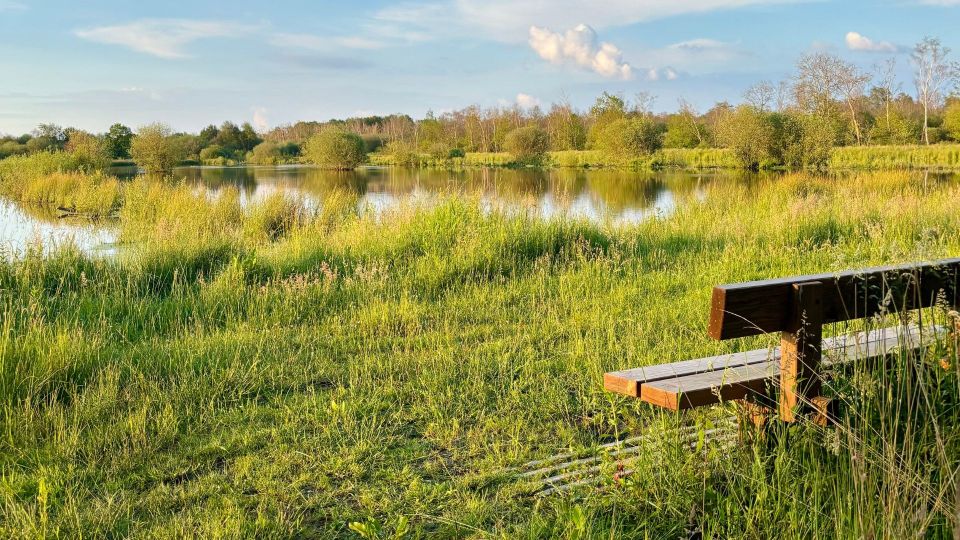 Yoga en natuurwandeling in de Peel