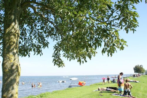 Mensen die aan het water liggen op het gras bij Camping de Eenhoorn in Schardam