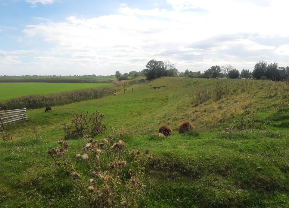 Genieten in Noordoost-Friesland