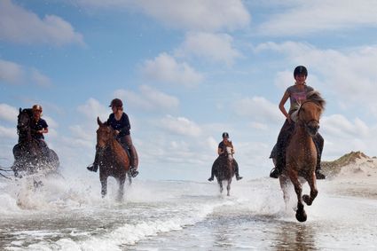 Paarden in galop door het water
