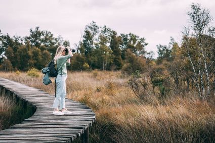 Fotograaf op Knuppelpad in de Peel