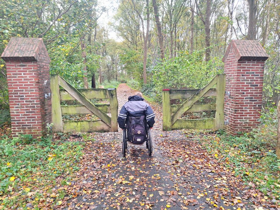 Rolstoelroute bij Fochteloo