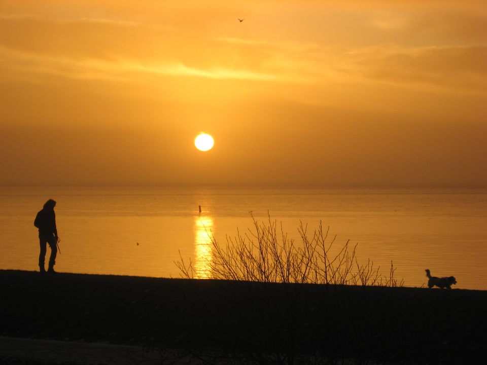Vlieland Man met hond op dijk bij ondergaande zon