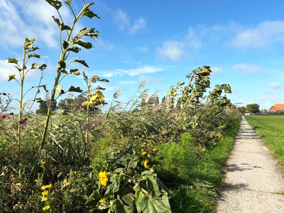 Swalkroute Easterein