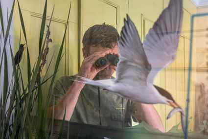 Een man die door een verrekijker heen kijkt naar een item uit de collectie van Bezoekerscentrum Mar en Klif in Oudermirdum.