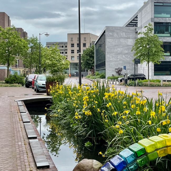 Stadswandeling: Volg de Jansbeek