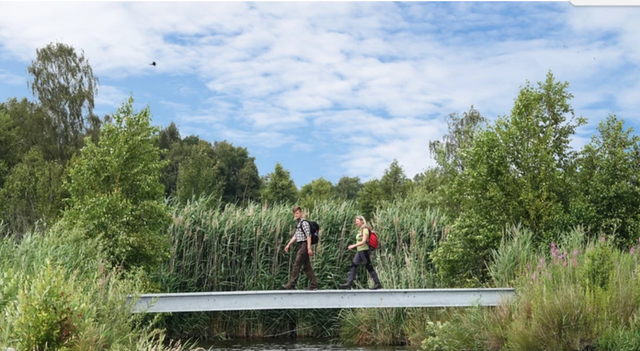 natuur water bos en moeras route