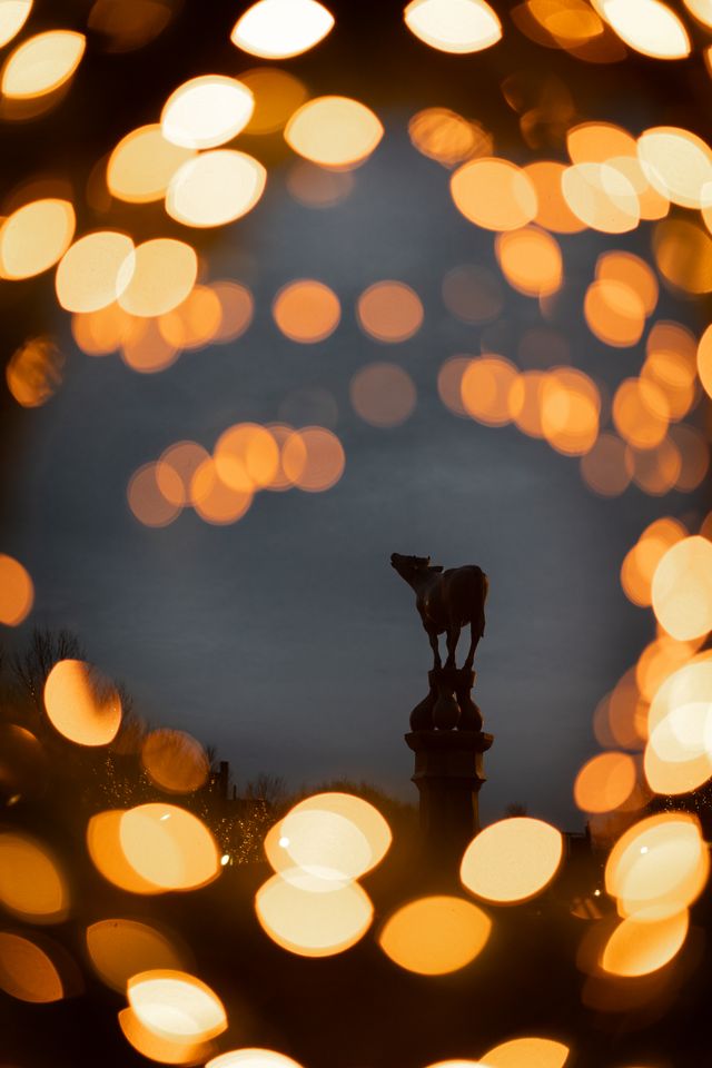 Beeld op de Koemarkt met kerstlampjes