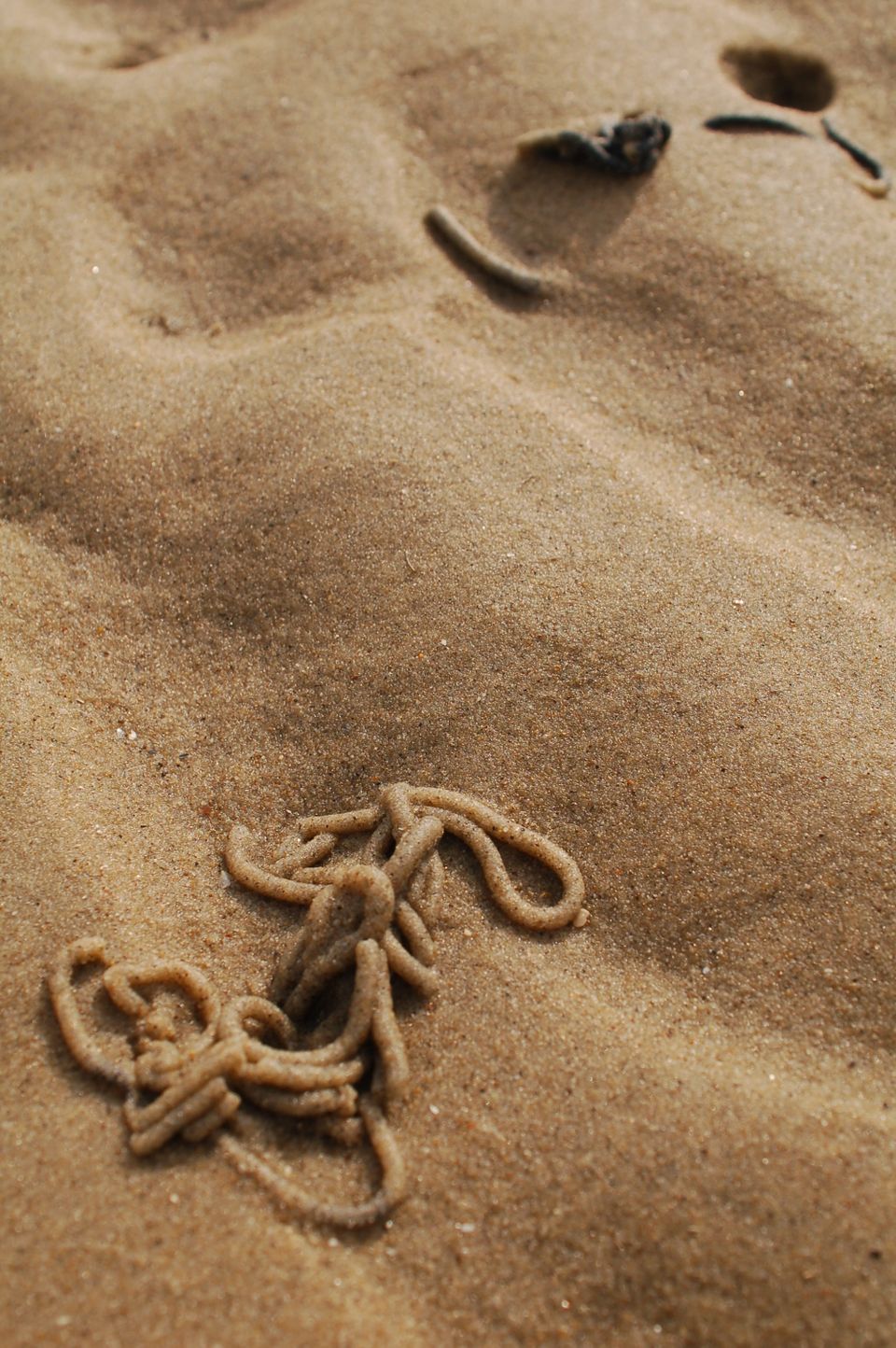 Zeepieren zandstraal