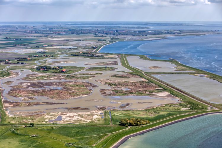 Natuurgebieden Prunjepolder