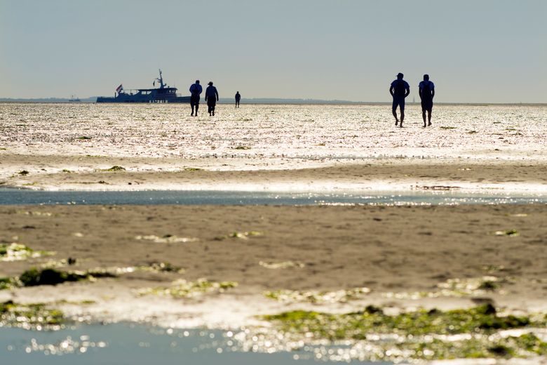 Waddenzee Engelsmanplaat staat in beeldbank is rechtenvrij