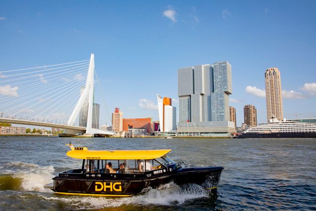 Rijnhaven Rotterdam Groene Hart