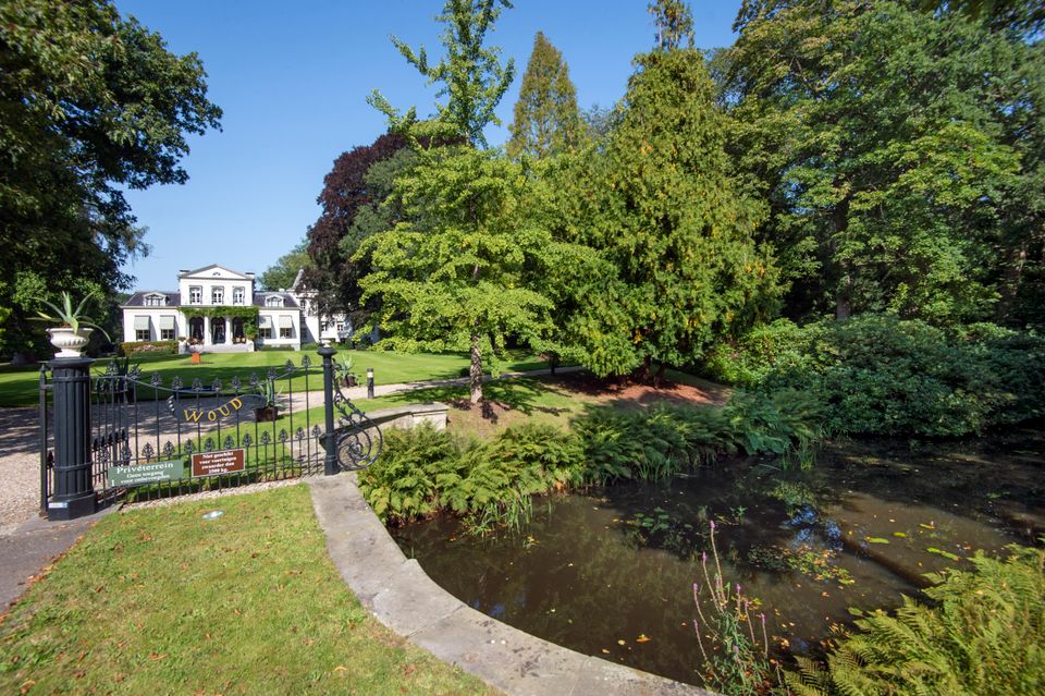 Parklandschap Oranjewoud