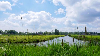 countryside field