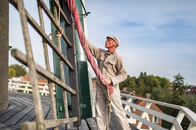 Historische korenmolen De Windotter in IJsselstein, Lopikerwaard, Groene Hart. Molenaar bedient het zeil van een wiek op de stelling tijdens onderhoud aan de werkende windmolen en toont het traditionele molenaarsambacht.