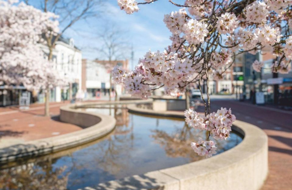 Hoofdstraat Hoogeveen