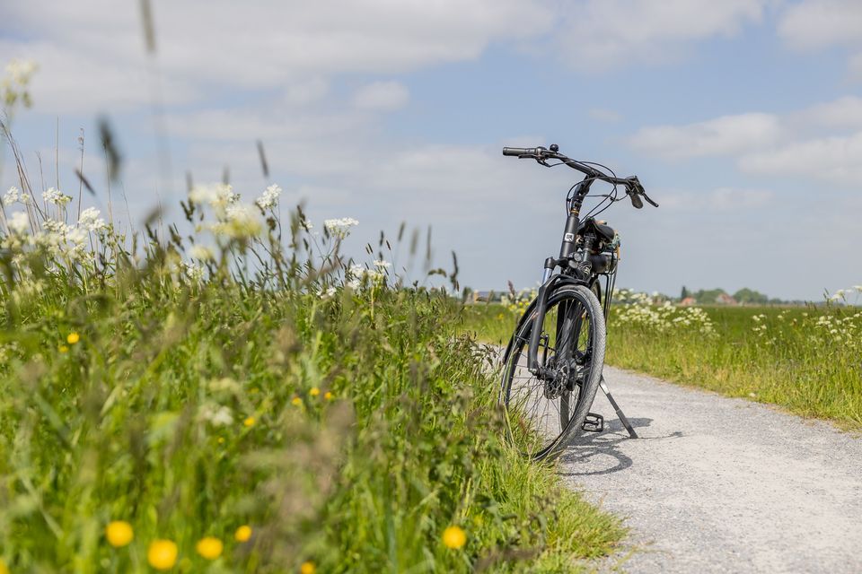 Fiets in de natuur