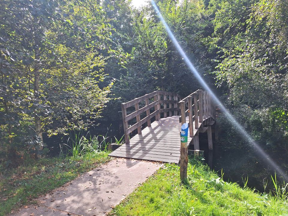 Wandelroute Pettebosk