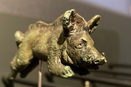 Mooi bronzen zwijntje, opgegraven in Didam. (collectie Liemers Museum)
