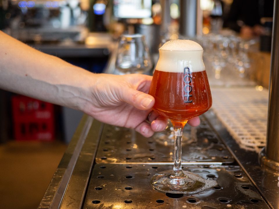 Bier Brouwerij Hoop Tap Zaansmaken smaak horeca restaurant café Oud Zaandijk
