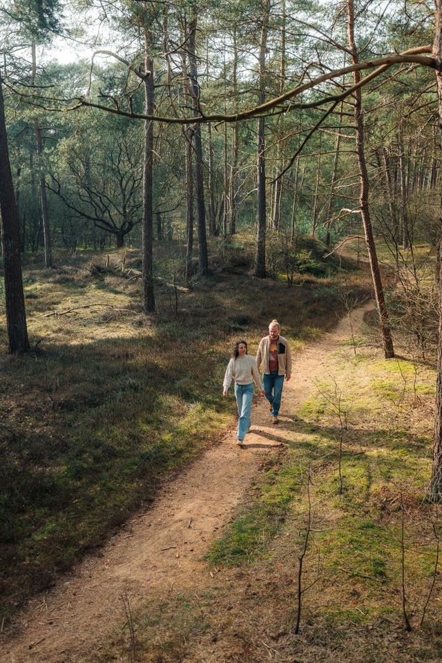 Een man en een vrouw wandelen door het bos in Drenthe