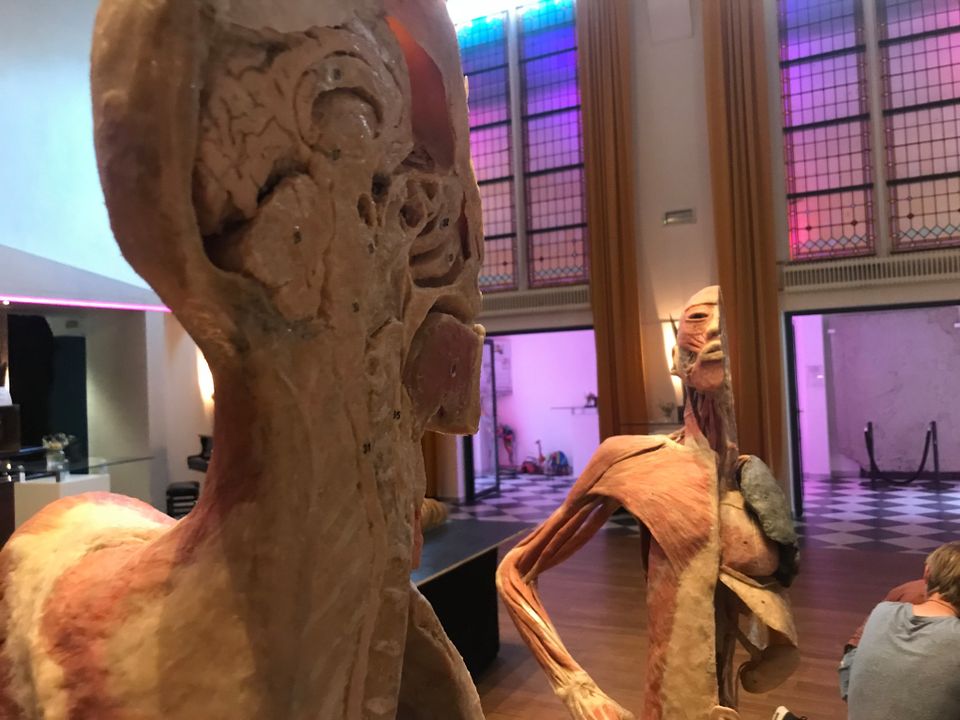 Expositie | Leren van de doden
