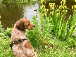 Toneelgroep Morgana 'Zoek!'