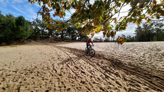 1 mountainbiker op het parcours De Loonse en Drunense Duinen