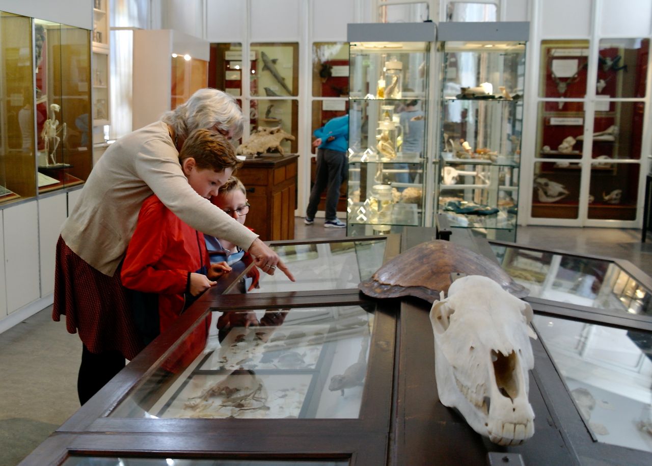 Een werelds museum te oudenbosch met uitgebreide collecties op het gebied van Natuur, Volkenkunde, Archeologie en Geologie