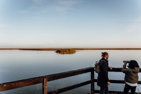 Oostvaardersplassen Almere