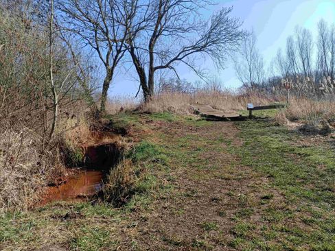 foto: foto van Agnes Leijen