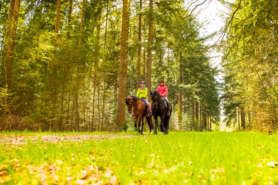 Twee ruiters met paard in de Drentse bossen.