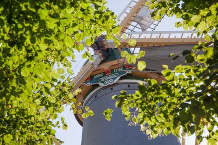 Detail van Molen De Windhond in Woerden met molenwieken en groene bladeren op de voorgrond, historisch erfgoed in het Groene Hart.