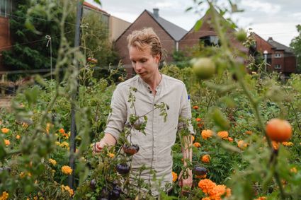 Domein Zwavel Noord-Limburg