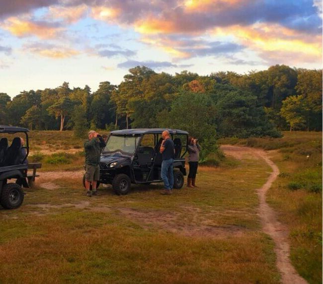 Eco tour