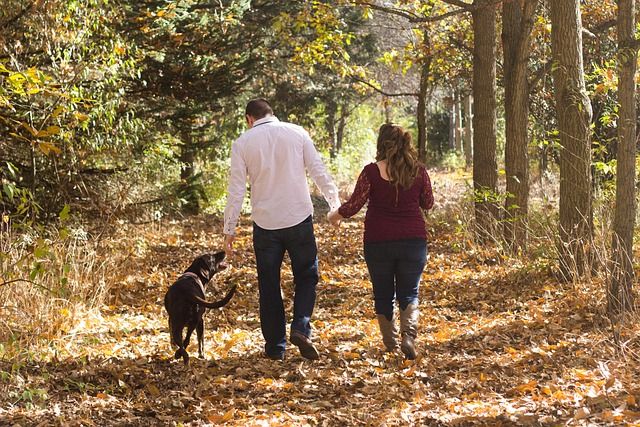 Stel wandelt met de hond in het bos
