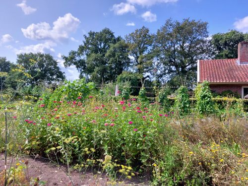 Groentekwekerij Noordlaren