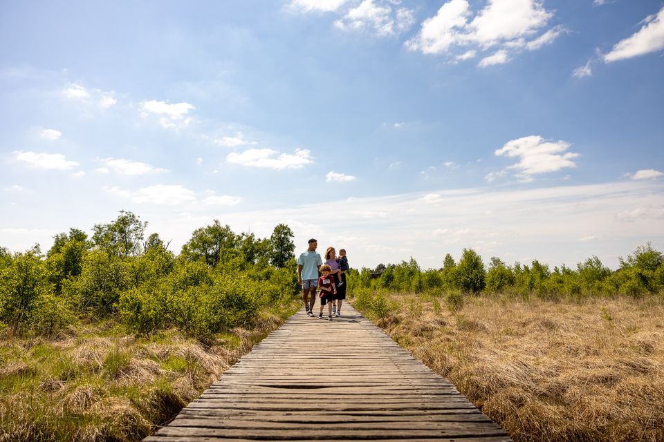 Gezin met twee kinderen lopen op Vlonderpad in de Nationaal Park de Groote Peel