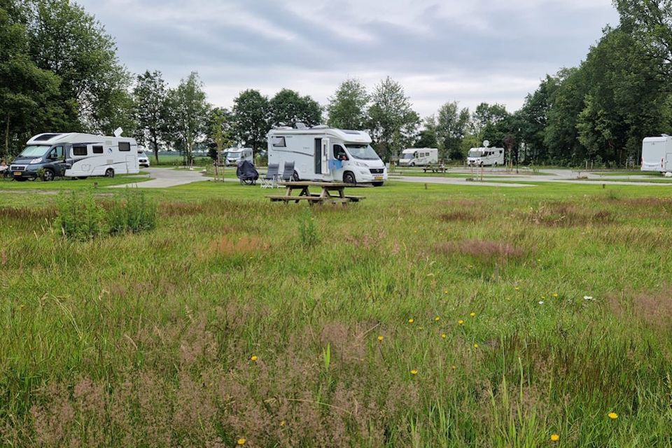 Een grasveld omringd door bomen met daarop verschillende campers en een picknickbank.