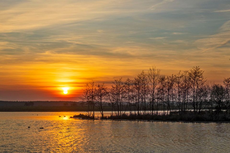 Vroonpolder-En-Gadrabos-Bij-Zonsondergang